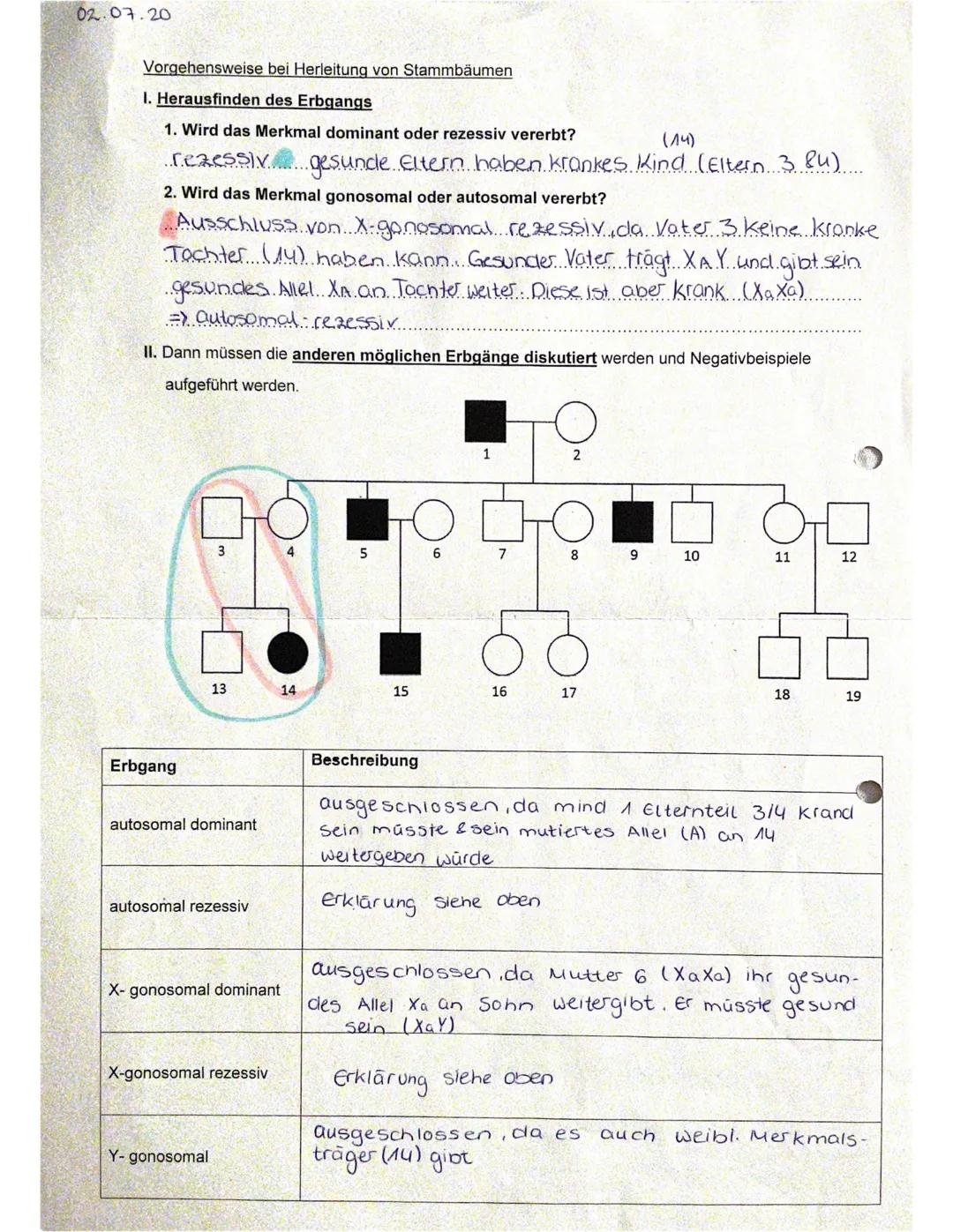 02.07.20

Vorgehensweise bei Herleitung von Stammbäumen

I. Herausfinden des Erbgangs

1. Wird das Merkmal dominant oder rezessiv vererbt?
(
