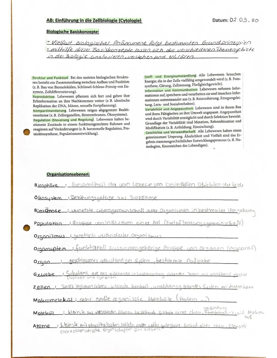 Basiskonzepte Biologie für Grundschule und 5. Klasse: Beispiele und Arbeitsblätter
