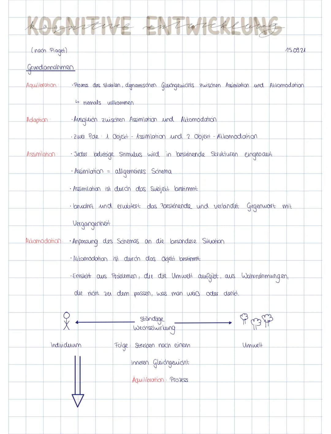 KOGNITIVE ENTWICKLUNG
(nach Piaget)
Grundannahmen
Aquilibration
Adaption
Assimilation
• Prozess des stabilen, dynamischen Gleichgewichts zwi