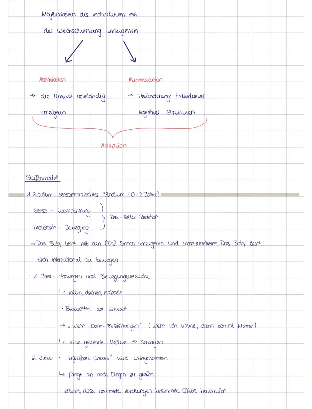KOGNITIVE ENTWICKLUNG
(nach Piaget)
Grundannahmen
Aquilibration
Adaption
Assimilation
• Prozess des stabilen, dynamischen Gleichgewichts zwi