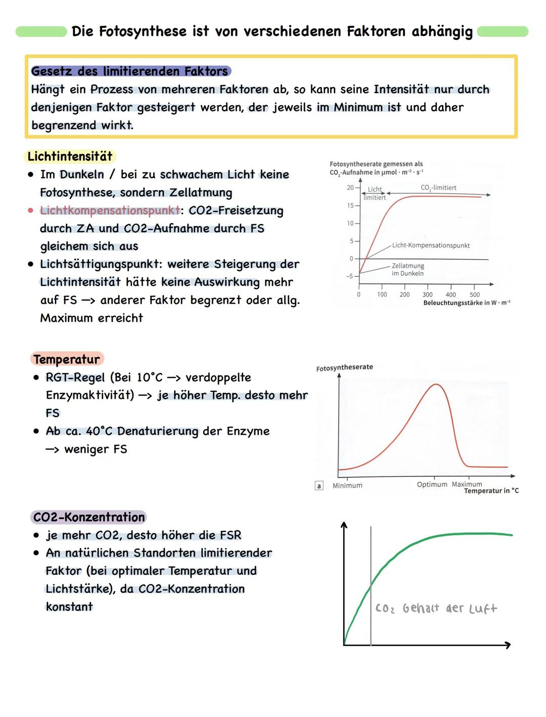 Zusammenfassung
# Fotosynthese

Bau und Funktion des Blattes

wachsartige Cuticula
► Verdunstungsschutz

chloroplastenfreie, licht durchläss