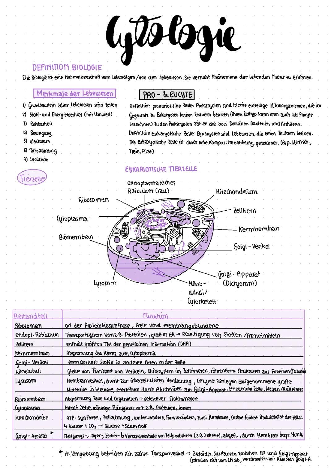  Eukaryoten (Zellbiologie)