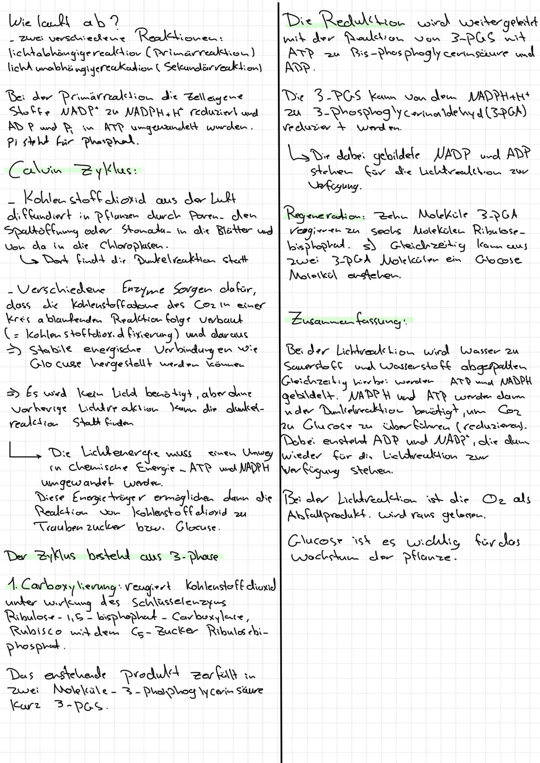 # Fotosynthese

Avin # Fotosynthese

•Synthese cus Licht"

- Es ist in zwei Prozesse ein geteilt:

Lichd abhängige Reaktion

Lichtunabhängig