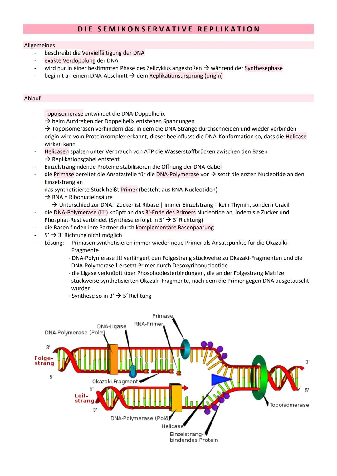# GENETIK

= Vererbungslehre

= Wissenschaft von der Vererbung

Bau der DNA

5' Ende

Adenin

Thymin

2 Wasserstoff-
brücken
NH, 2

3' Ende
