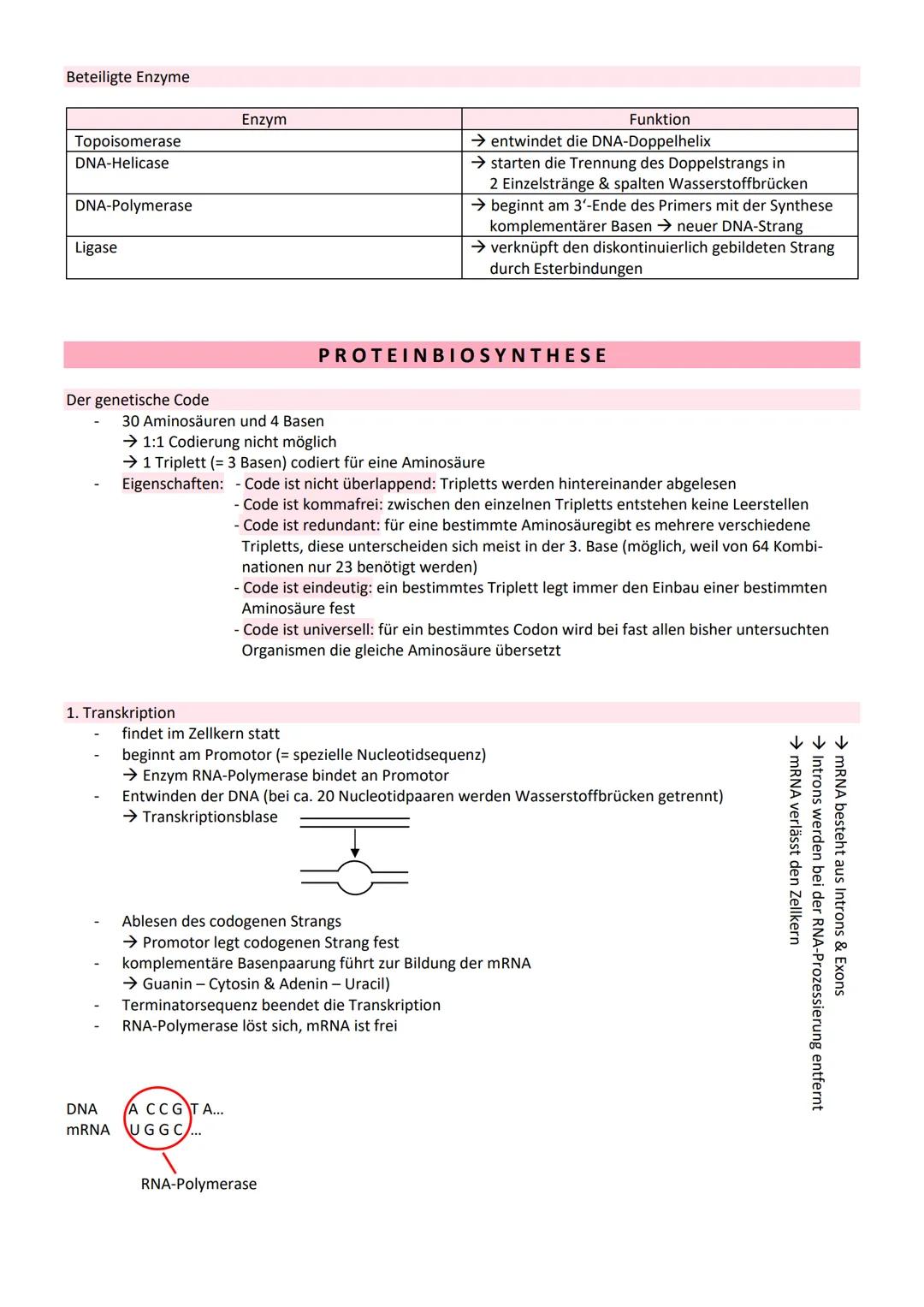 # GENETIK

= Vererbungslehre

= Wissenschaft von der Vererbung

Bau der DNA

5' Ende

Adenin

Thymin

2 Wasserstoff-
brücken
NH, 2

3' Ende
