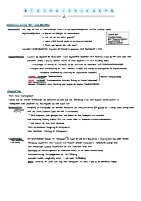 Know Lernzettel Genregulation Eukaryoten, ras-Protein, Zellzyklus, Grundlagen Gentechnik thumbnail