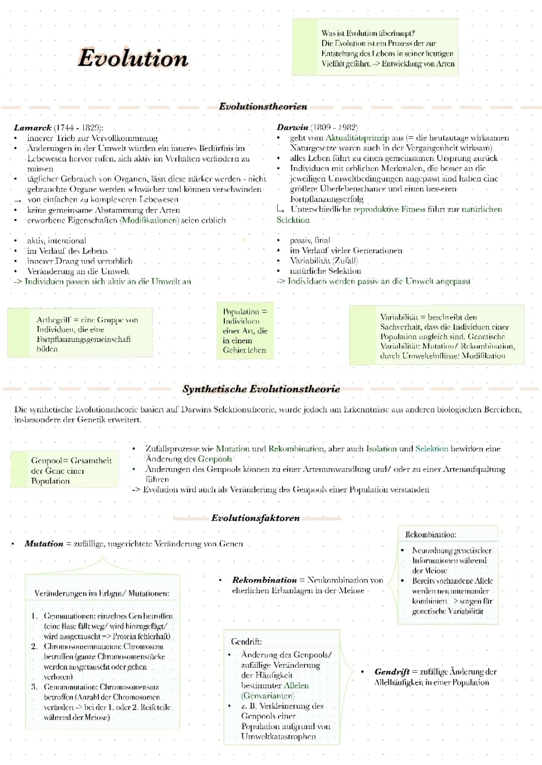 Die Evolutionstheorien und die natürliche Selektion 