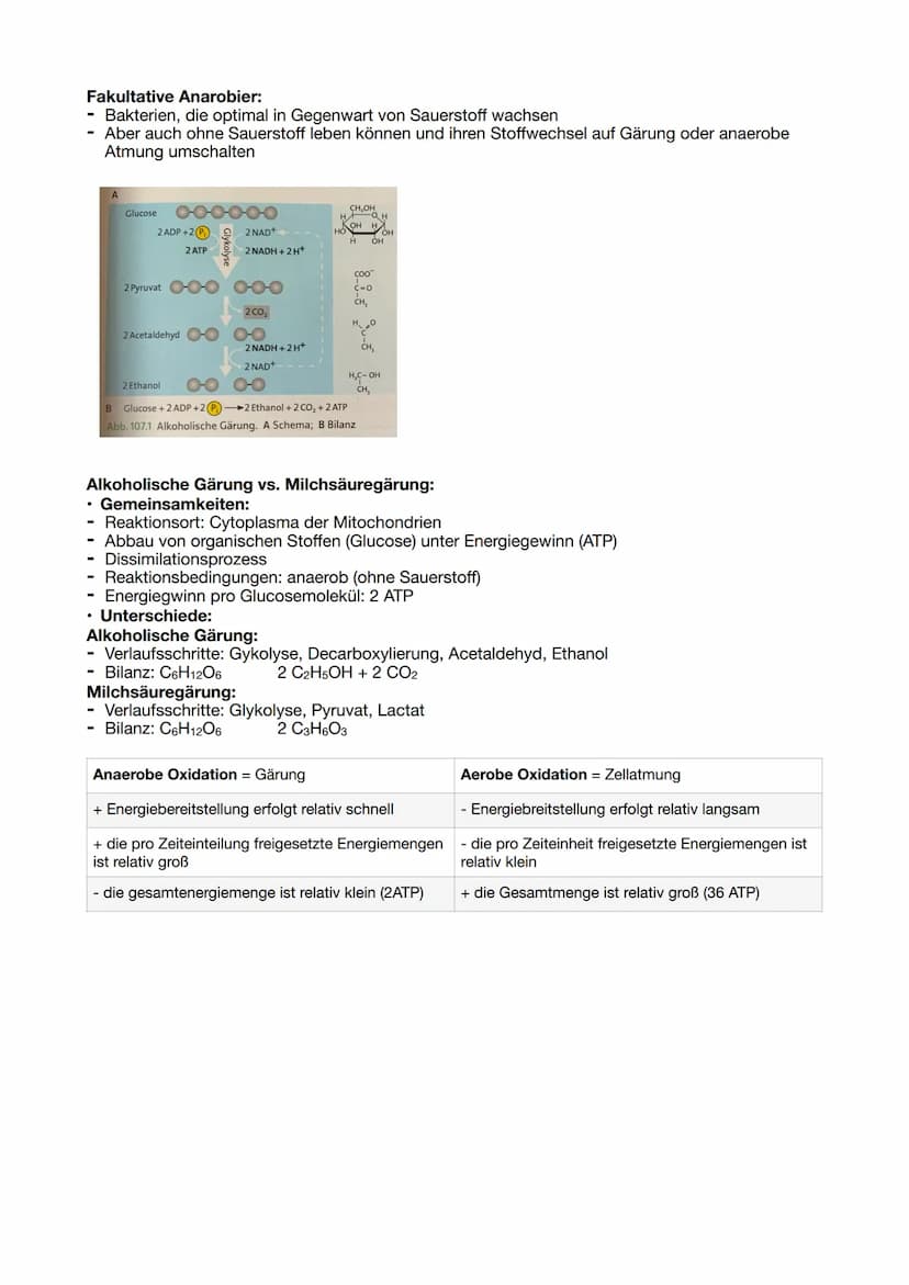 Stoffabbau- Zellatmung:
die Umwandlung energiereicher körpereigener Verbindungen in energieärmere Stoffe nennt man
Dissimilation
Dabei wird 