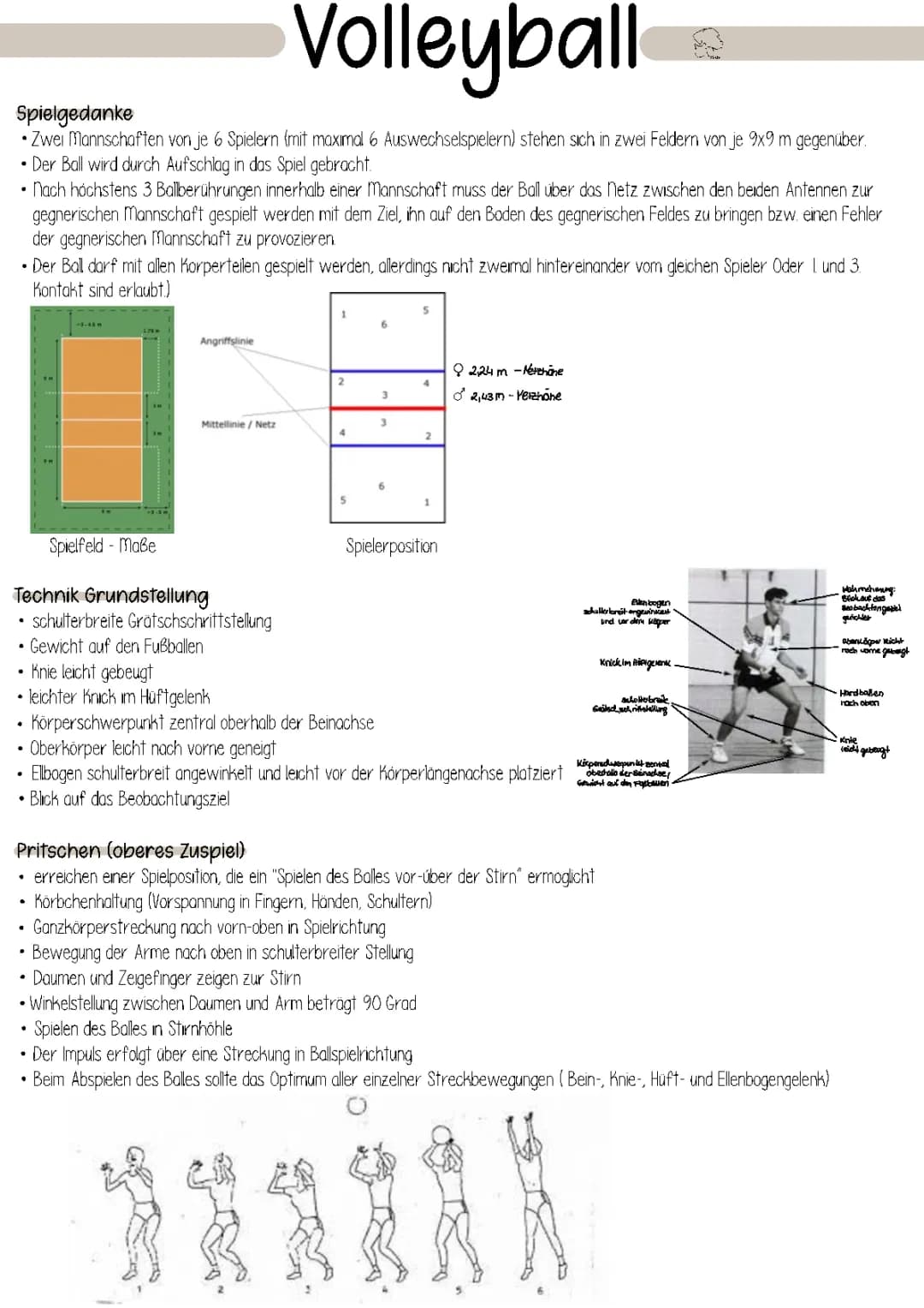 Alles über Volleyball: Feldgröße, Regeln und Techniken