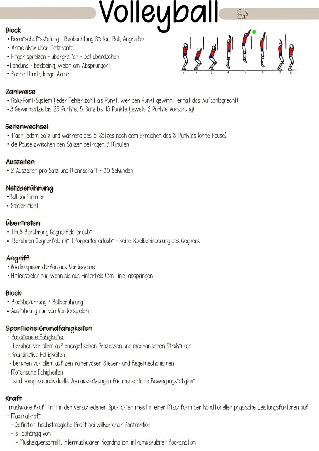 Volleyball
Spielgedanke
• Zwei Mannschaften von je 6 Spielern (mit maximal 6 Auswechselspielern) stehen sich in zwei Feldern von je 9x9 m ge