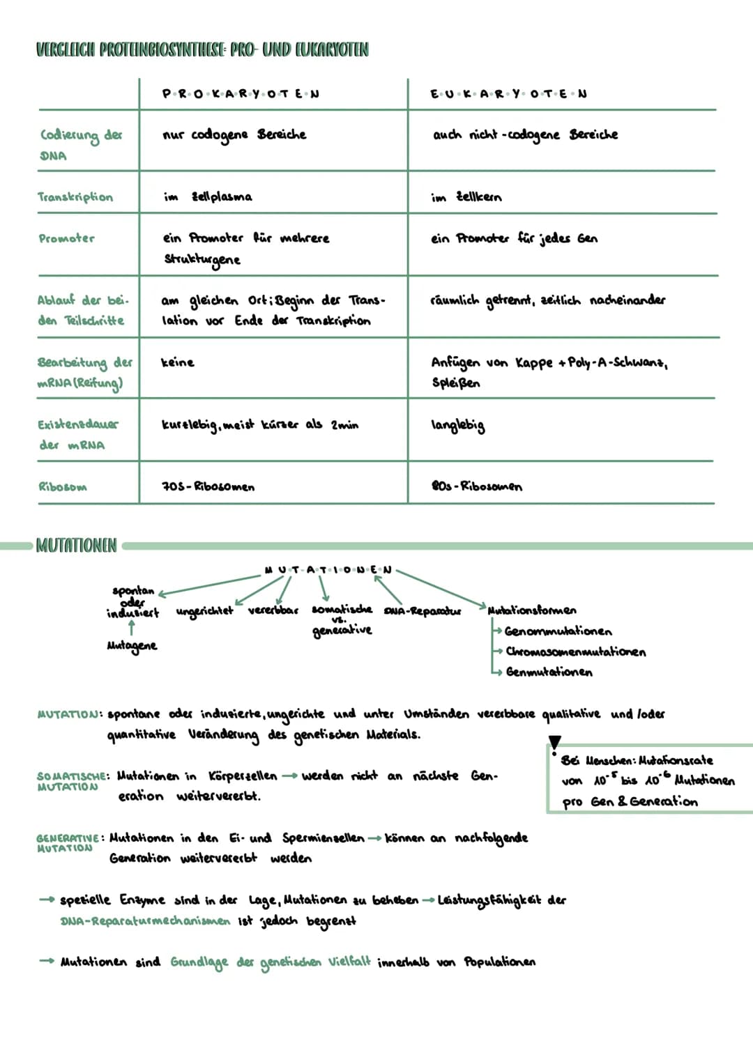 PROKARYOTISCHE & EUKARYOTISCHE ZELLEN
Kennzeichen
PROZYTE
kein telkern; Erbsubstanz
(Bakterienringchromosom + Plasmide)
frei im Zellplasma
D