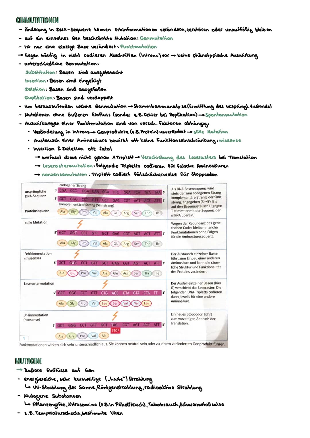 PROKARYOTISCHE & EUKARYOTISCHE ZELLEN
Kennzeichen
PROZYTE
kein telkern; Erbsubstanz
(Bakterienringchromosom + Plasmide)
frei im Zellplasma
D