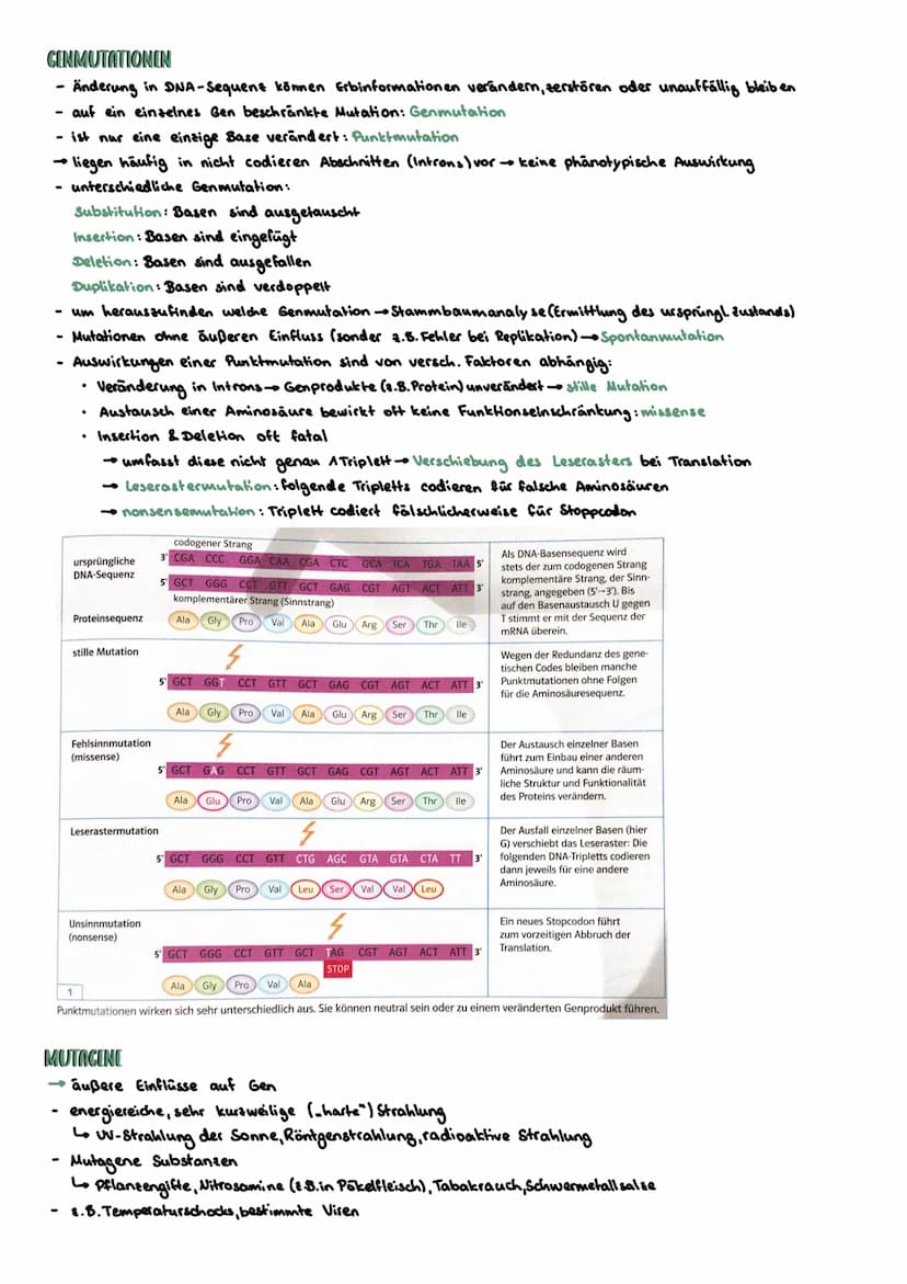 PROKARYOTISCHE & EUKARYOTISCHE ZELLEN
Kennzeichen
PROZYTE
kein telkern; Erbsubstanz
(Bakterienringchromosom + Plasmide)
frei im Zellplasma
D
