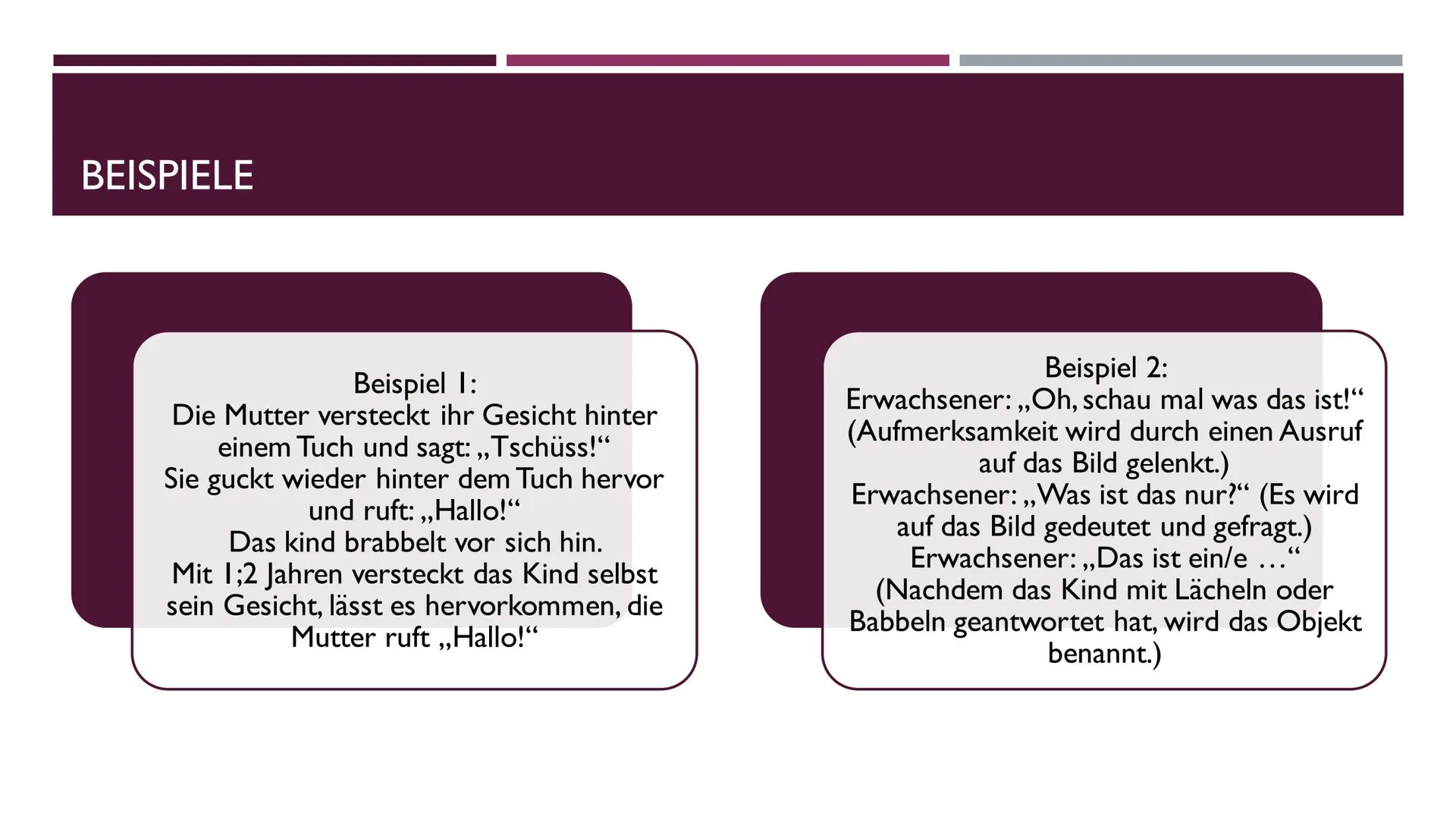 SPRACHERWERBSTHEORIEN
PRÄSENTATION VON JAN WIEDENHOFF KAPITEL ÜBERSICHT
1. Behaviorismus
1.1 Definition und Inhalt
1.2 Burrhus Frederic Skin