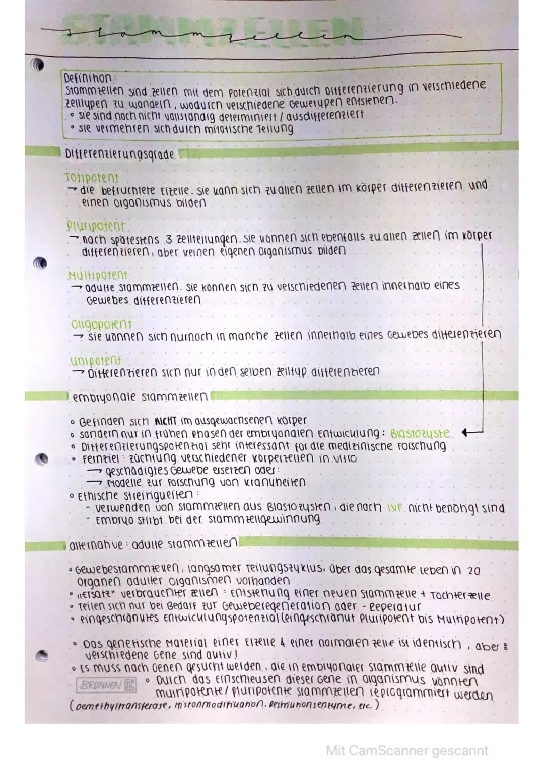 counsellin
Definition
Stammzellen sind zellen mit dem Potenzial sich durch offferenzierung in verschiedene
Zelltypen zu wandeln, wodurch ver