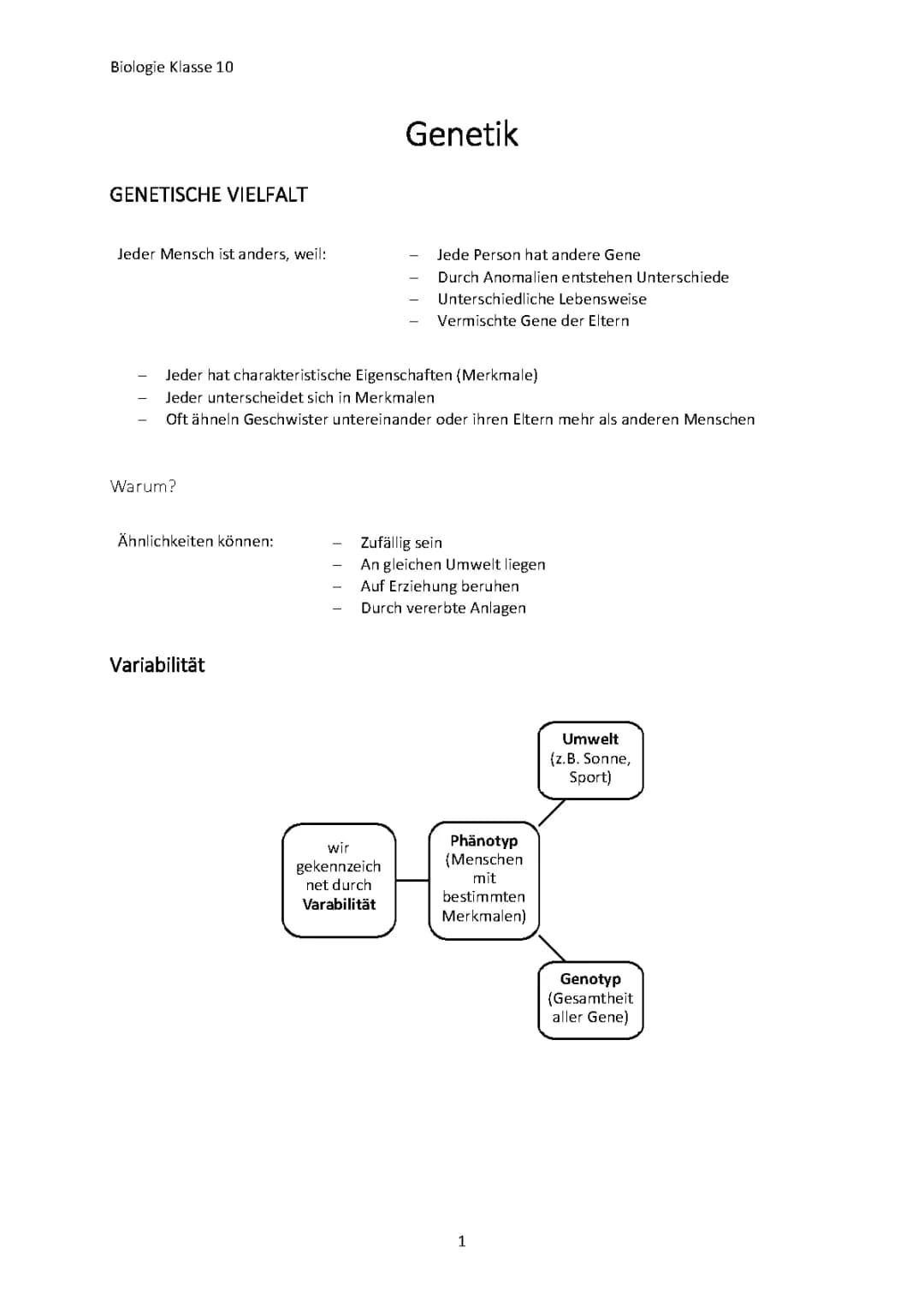 Zusammenfassung Schuljahr Klasse 10 Biologie