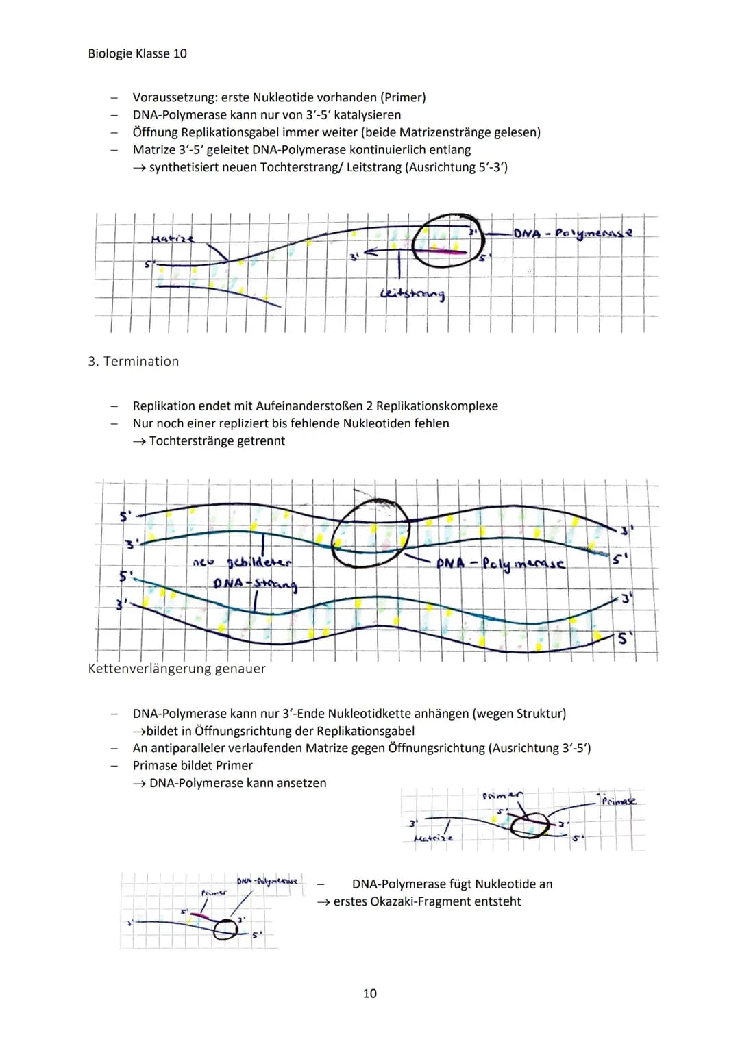 Biologie Klasse 10
GENETISCHE VIELFALT
Jeder Mensch ist anders, weil:
Warum?
Jeder hat charakteristische Eigenschaften (Merkmale)
Jeder unte