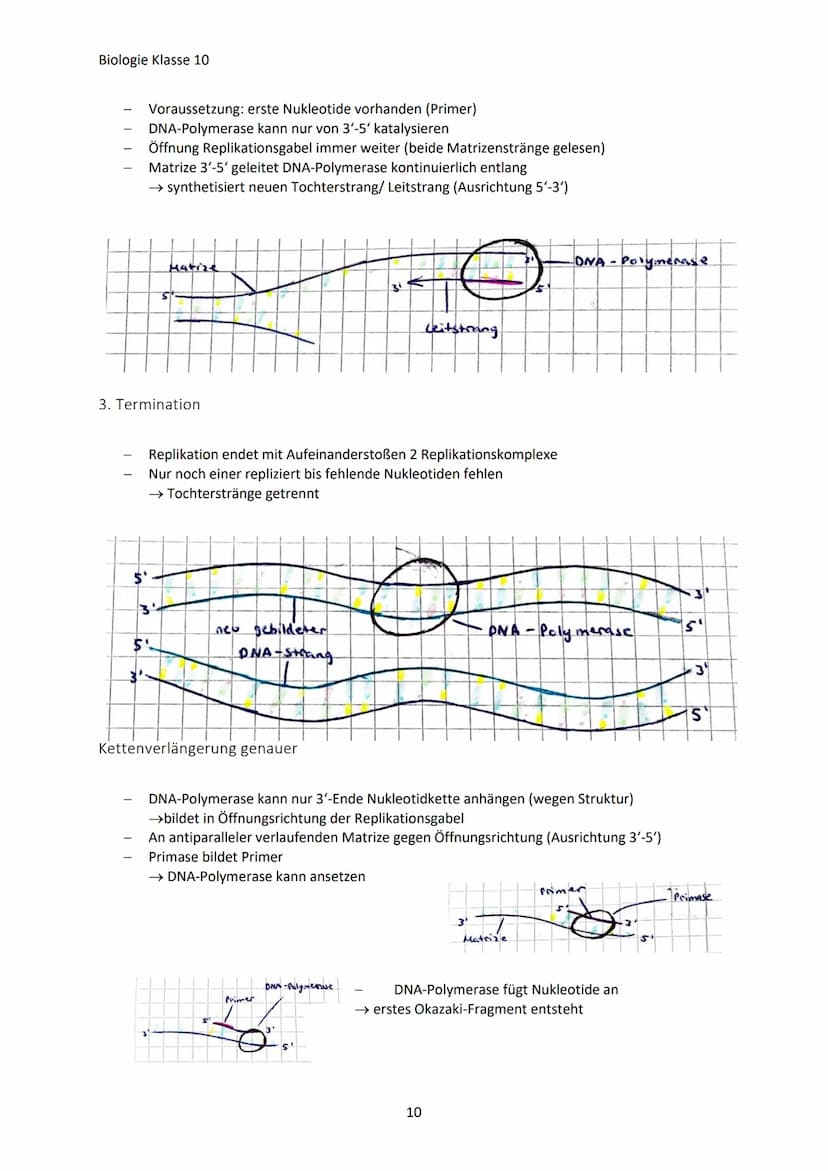 Biologie Klasse 10
GENETISCHE VIELFALT
Jeder Mensch ist anders, weil:
Warum?
Jeder hat charakteristische Eigenschaften (Merkmale)
Jeder unte