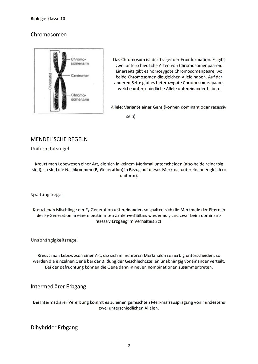 Biologie Klasse 10
GENETISCHE VIELFALT
Jeder Mensch ist anders, weil:
Warum?
Jeder hat charakteristische Eigenschaften (Merkmale)
Jeder unte
