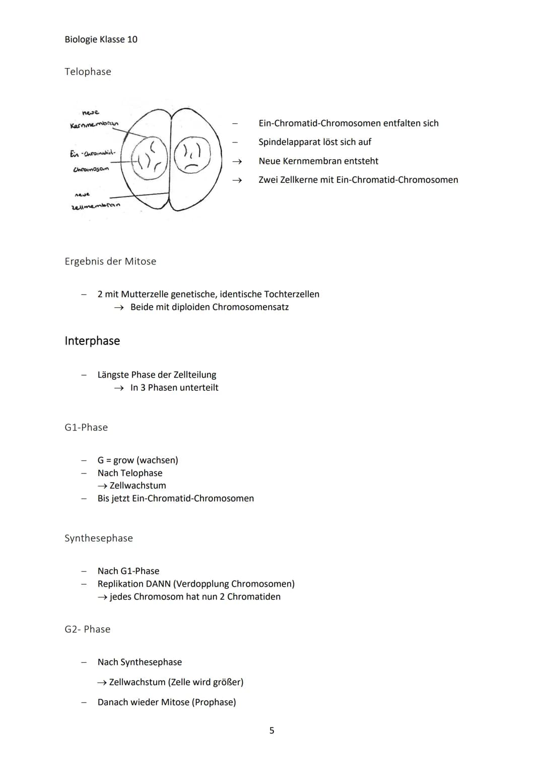 Biologie Klasse 10
GENETISCHE VIELFALT
Jeder Mensch ist anders, weil:
Warum?
Jeder hat charakteristische Eigenschaften (Merkmale)
Jeder unte