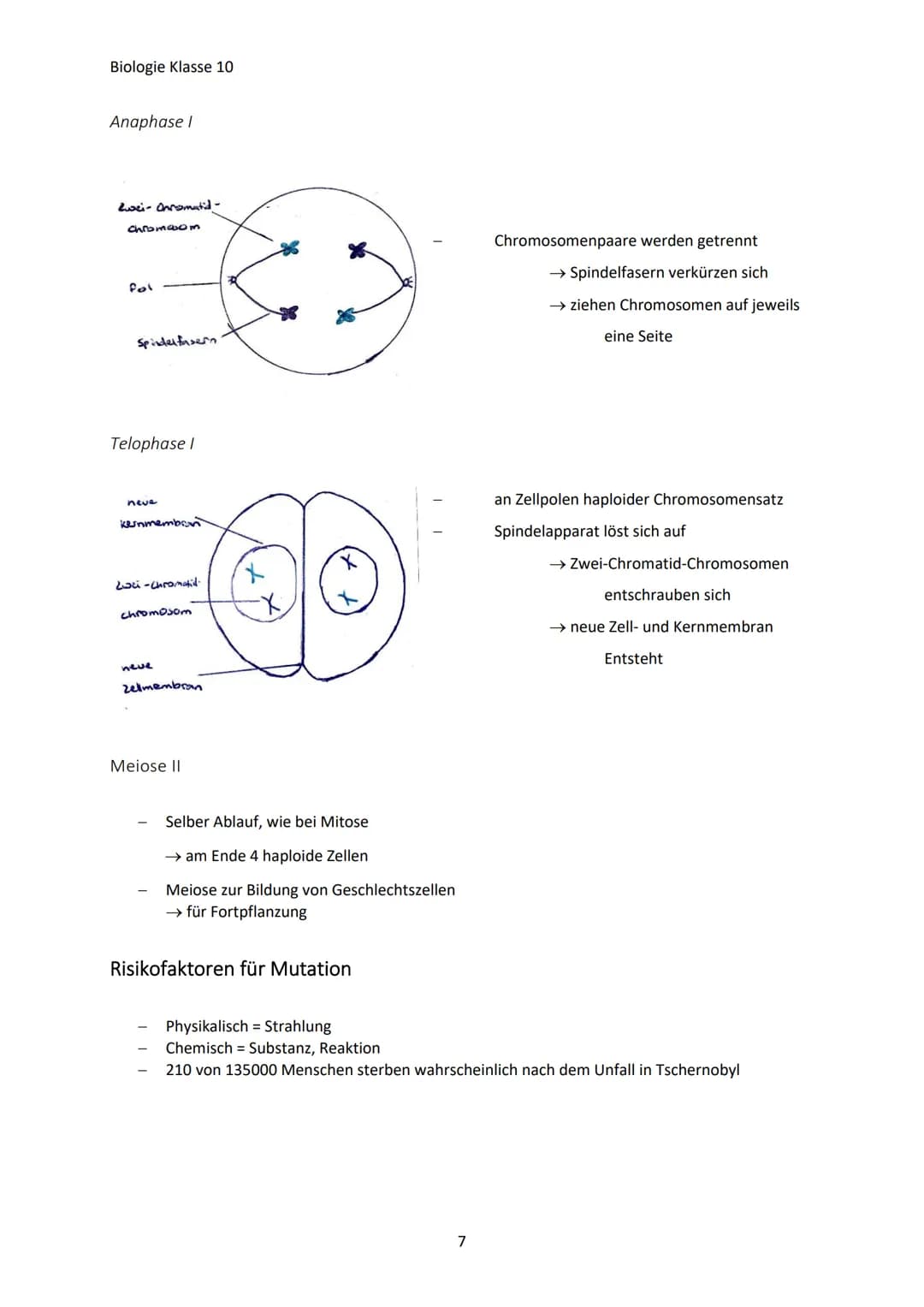 Biologie Klasse 10
GENETISCHE VIELFALT
Jeder Mensch ist anders, weil:
Warum?
Jeder hat charakteristische Eigenschaften (Merkmale)
Jeder unte