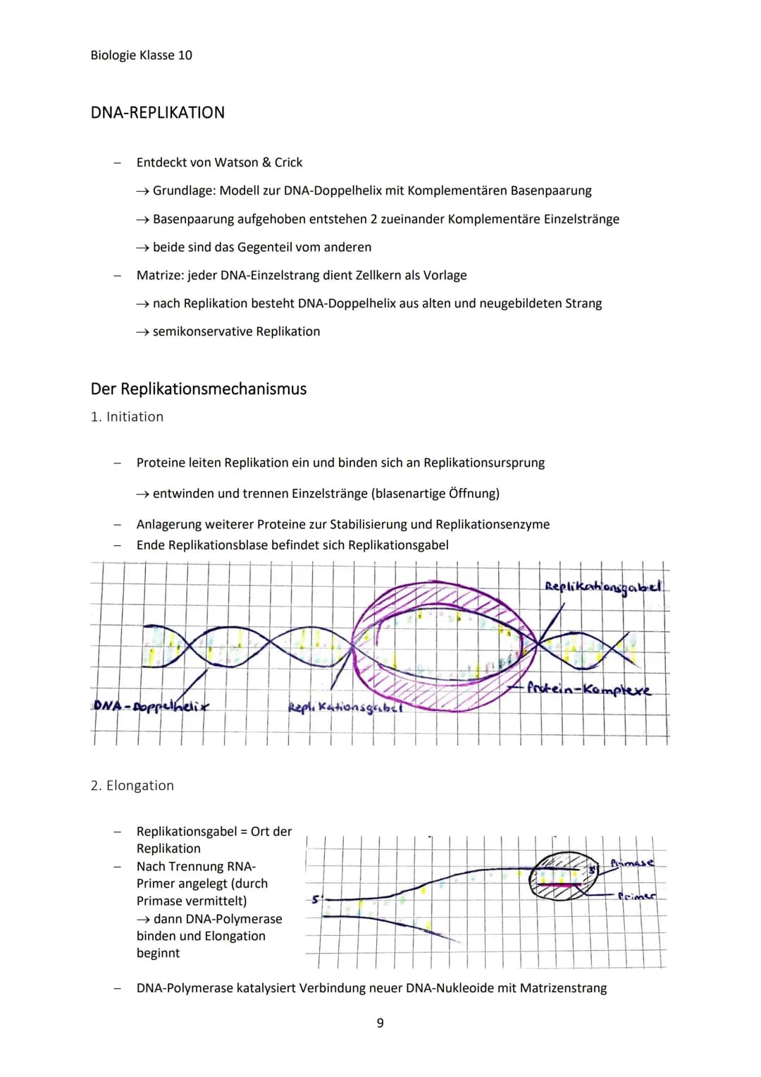 Biologie Klasse 10
GENETISCHE VIELFALT
Jeder Mensch ist anders, weil:
Warum?
Jeder hat charakteristische Eigenschaften (Merkmale)
Jeder unte