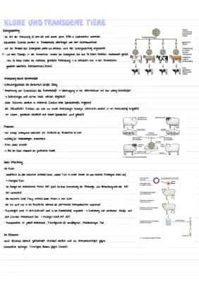 Know Klone und transgene Tiere thumbnail