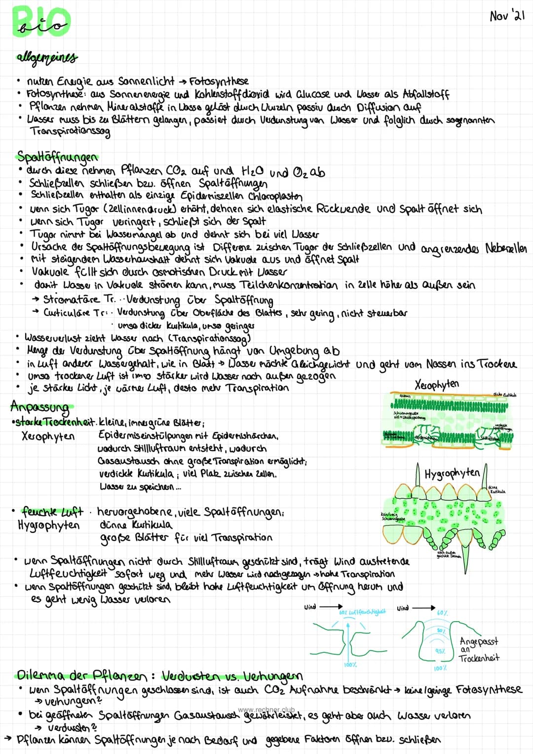 bio
allgemeines
nuten Energie aus Sonnenlicht →→ Fotosynthese
Fotosynthese: aus Sonnenenergie und Kohlenstoff dioxid wird Glucose und Wasser