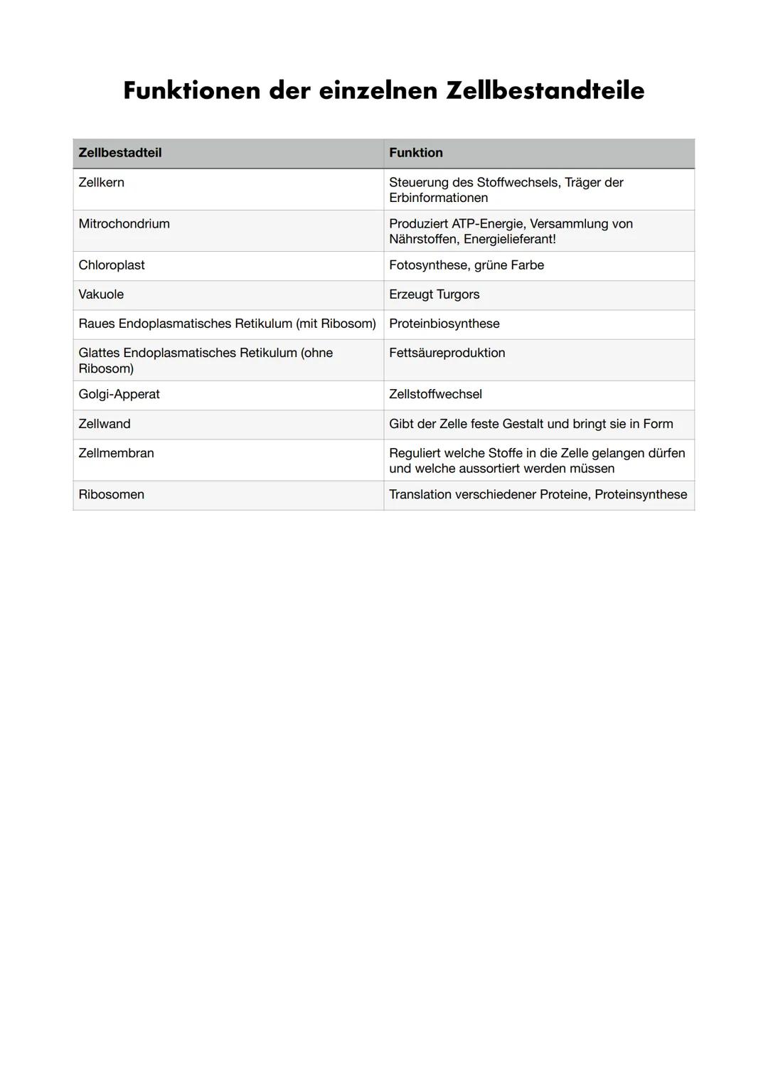 Zellenbau

Pflanzenzelle
Endoplasmatisches
Retikulum
Zellkern
Vakuole
Zellmembran
Chloroplasten
Mitochondrium
Ribosomen
Zellwand
Golgi-Appar