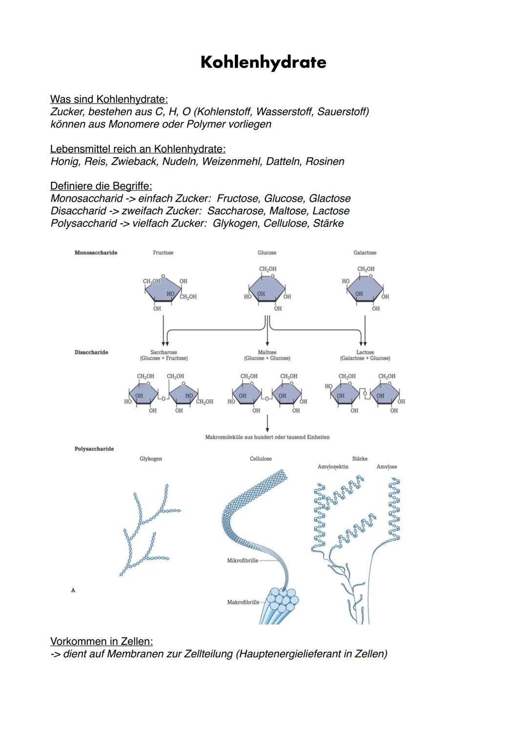 Zellenbau

Pflanzenzelle
Endoplasmatisches
Retikulum
Zellkern
Vakuole
Zellmembran
Chloroplasten
Mitochondrium
Ribosomen
Zellwand
Golgi-Appar