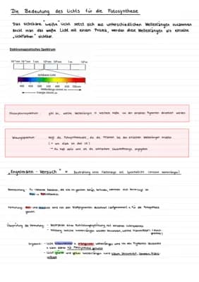 Know Die Bedeutung des Lichts für die Fotosynthese > Absorptions- und Wirkungsspektrum + Engelmann - Versuch thumbnail