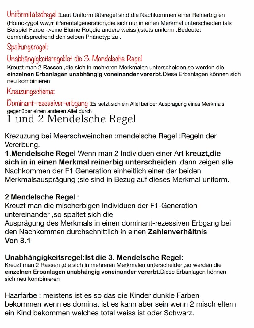 Erbinformation.
S 101 Material A S 104Material
Fachwörter:
D
Rezessiv wenn es in der f1 Generation vorhanden war, aber nicht
ausgebildet wur