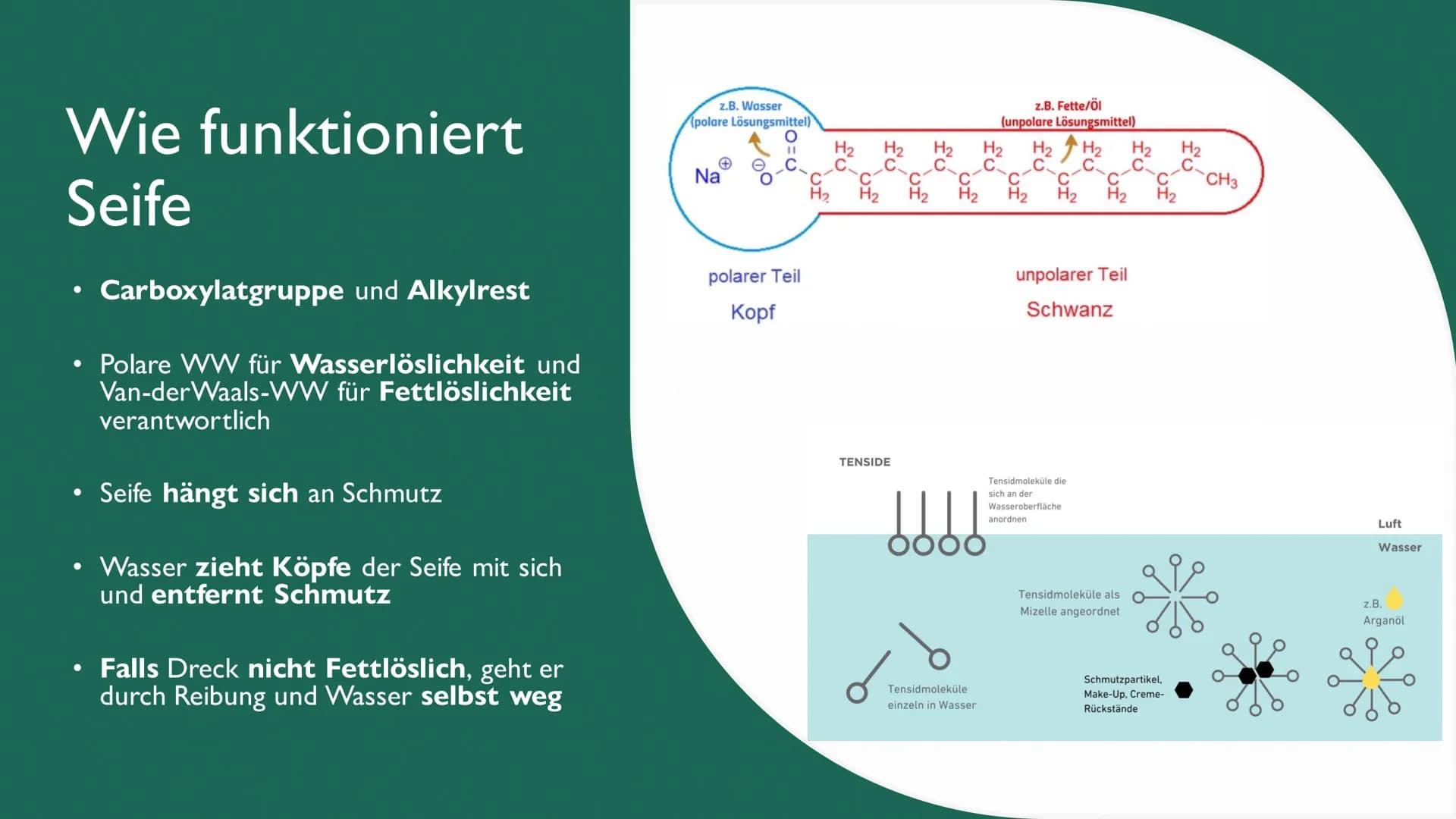 Seifenherstellung
herstel
Von Fiona G. und Boris N. Was ist Seife?
• Reinigung von Hand und Körper
Seifen sind Natrium- oder Kalium-Salze hö