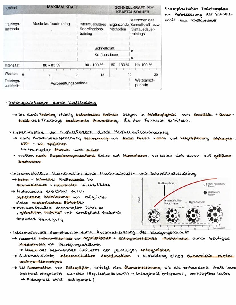 Sport Klausur am 05.03.2021
Kraft
= Kraft im biologischen Sinne ist die Fähigkeit des Nerv-Muskelsystems, durch Muskel-
tätigkeit Widerständ