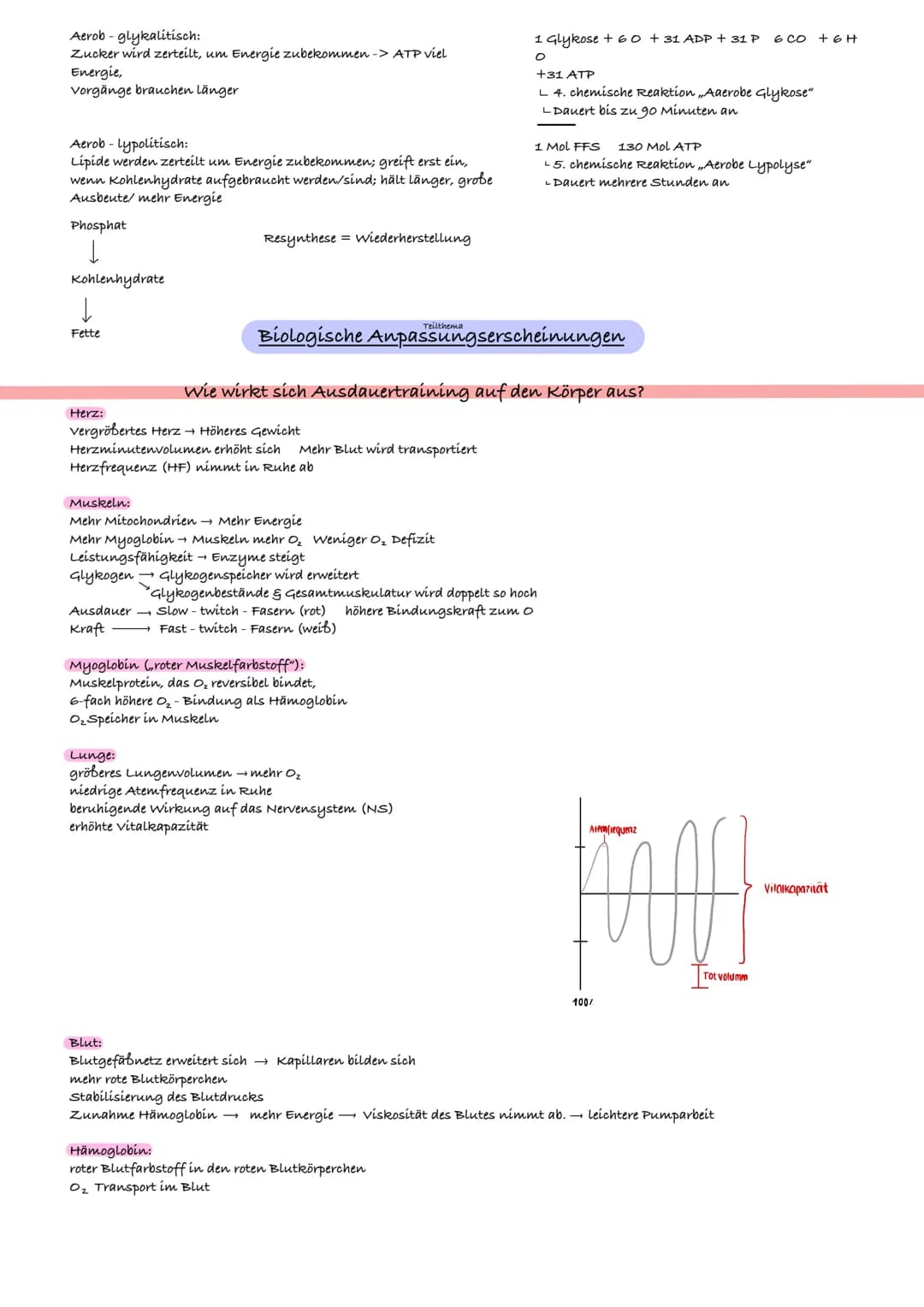 Inhalt
Sport- LK-Lernzettel
Seite 5 bis 7: Trainingslehre
•Grundbegriffe:
Training; Wettkampf; Leistung (Komponentenmodell);
Bewegungsnormat