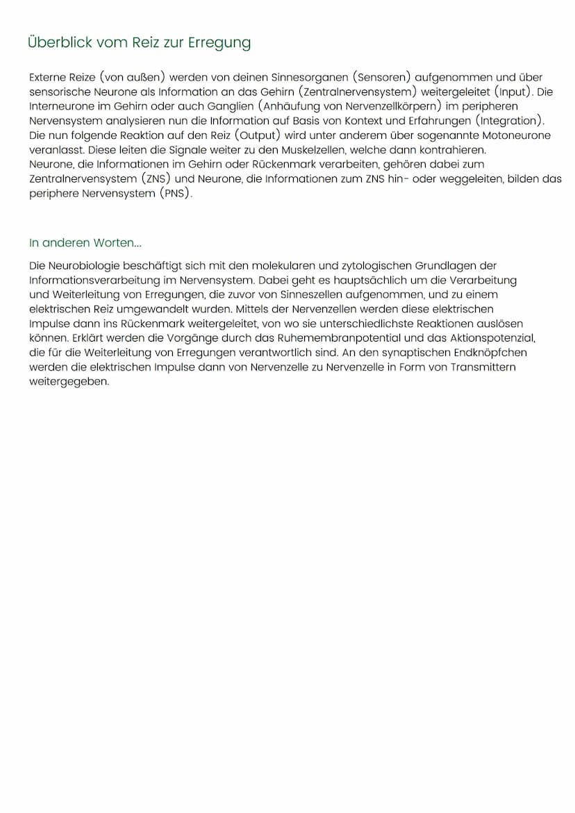 NEUROBIOLOGIE
optischer Reiz
sensorischer Nerv
affarent
affarent hin zum ZNS
efferent = weg vom ZNS
ZNS = zentrales Nervensystem
= Gehirn+Rü