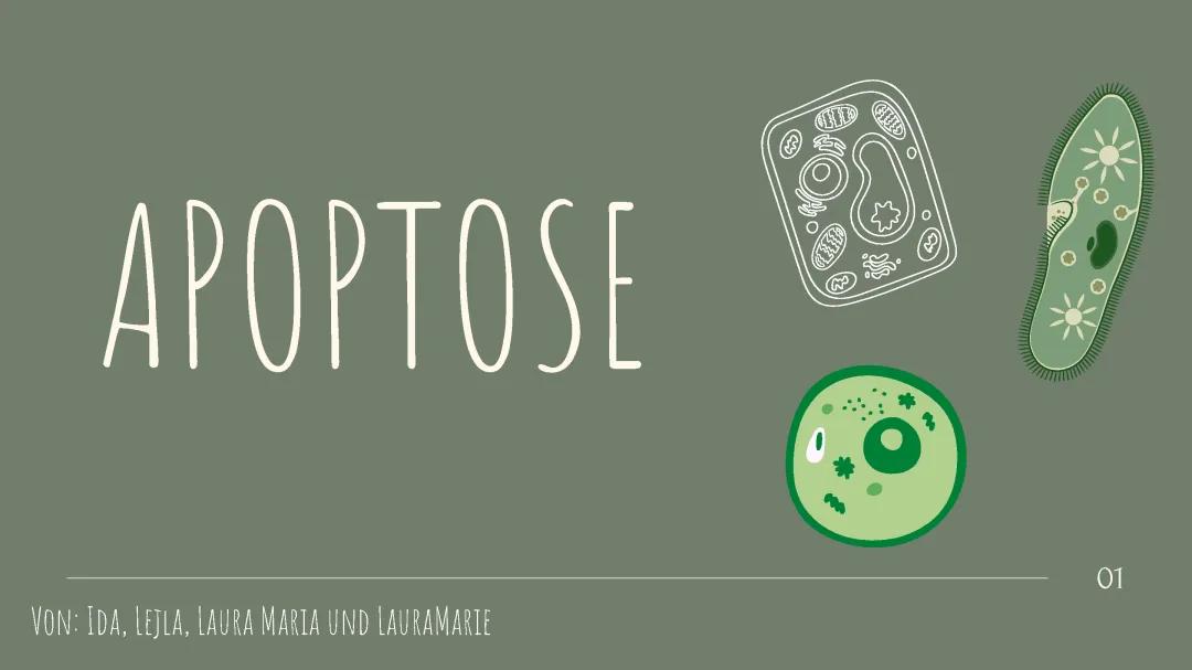 APOPTOSE 