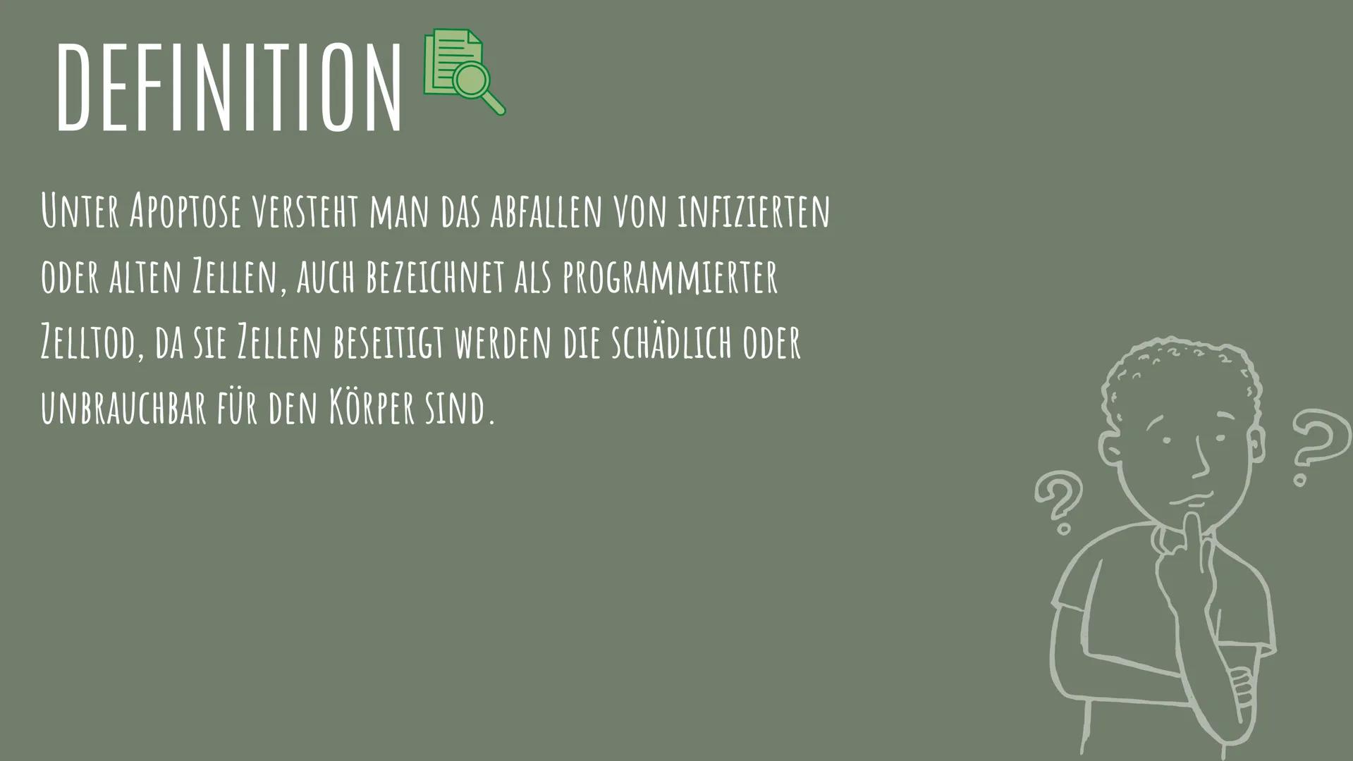 APOPTOSE
VON: IDA, LEJLA, LAURA MARIA UND LAURAMARIE
01 DEFINITION
UNTER APOPTOSE VERSTEHT MAN DAS ABFALLEN VON INFIZIERTEN
ODER ALTEN ZELLE