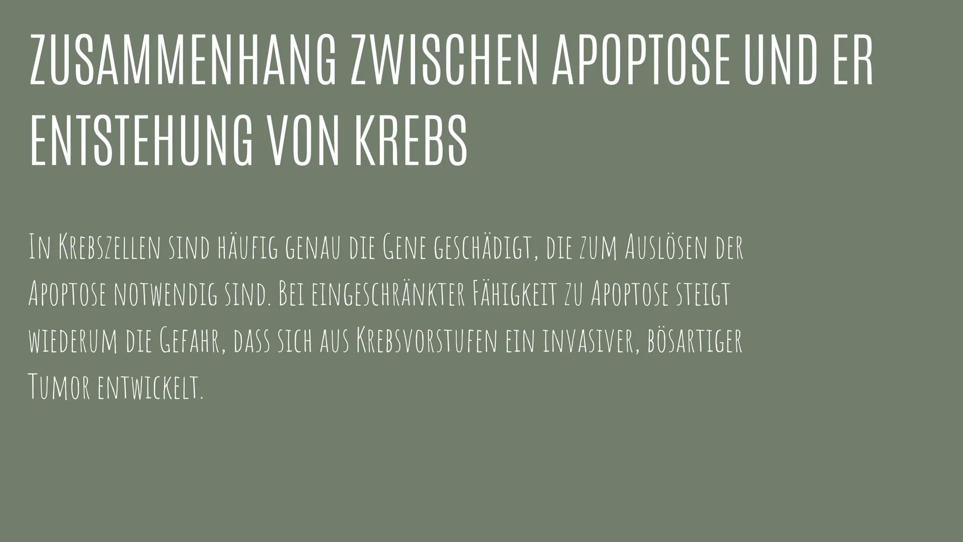 APOPTOSE
VON: IDA, LEJLA, LAURA MARIA UND LAURAMARIE
01 DEFINITION
UNTER APOPTOSE VERSTEHT MAN DAS ABFALLEN VON INFIZIERTEN
ODER ALTEN ZELLE
