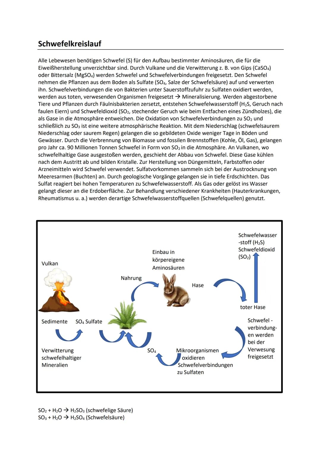 Schwefelkreislauf
Alle Lebewesen benötigen Schwefel (S) für den Aufbau bestimmter Aminosäuren, die für die
Eiweißherstellung unverzichtbar s