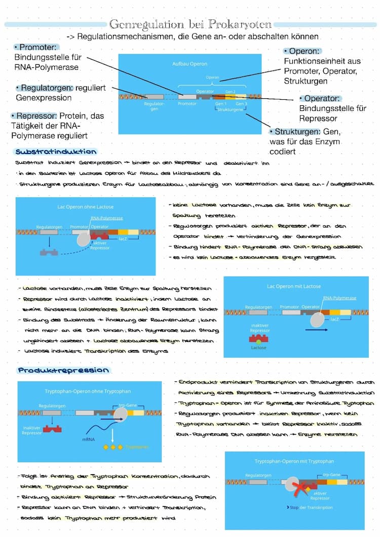 Know Genregulation  thumbnail