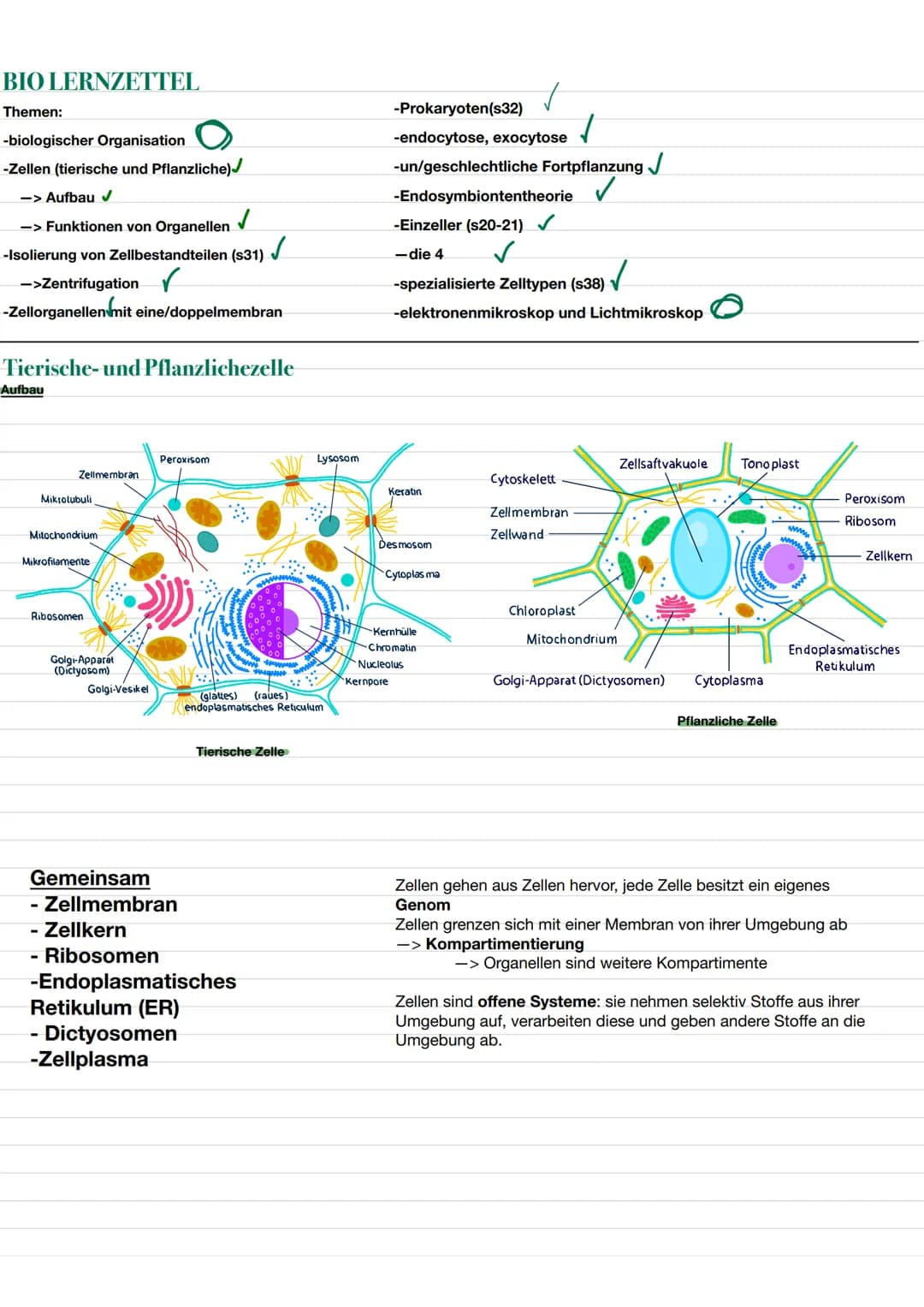 BIO LERNZETTEL
Themen:
-biologischer Organisation O
-Zellen (tierische und Pflanzliche)✓
-> Aufbau ✔
✓
-> Funktionen von Organellen.
-Isolie
