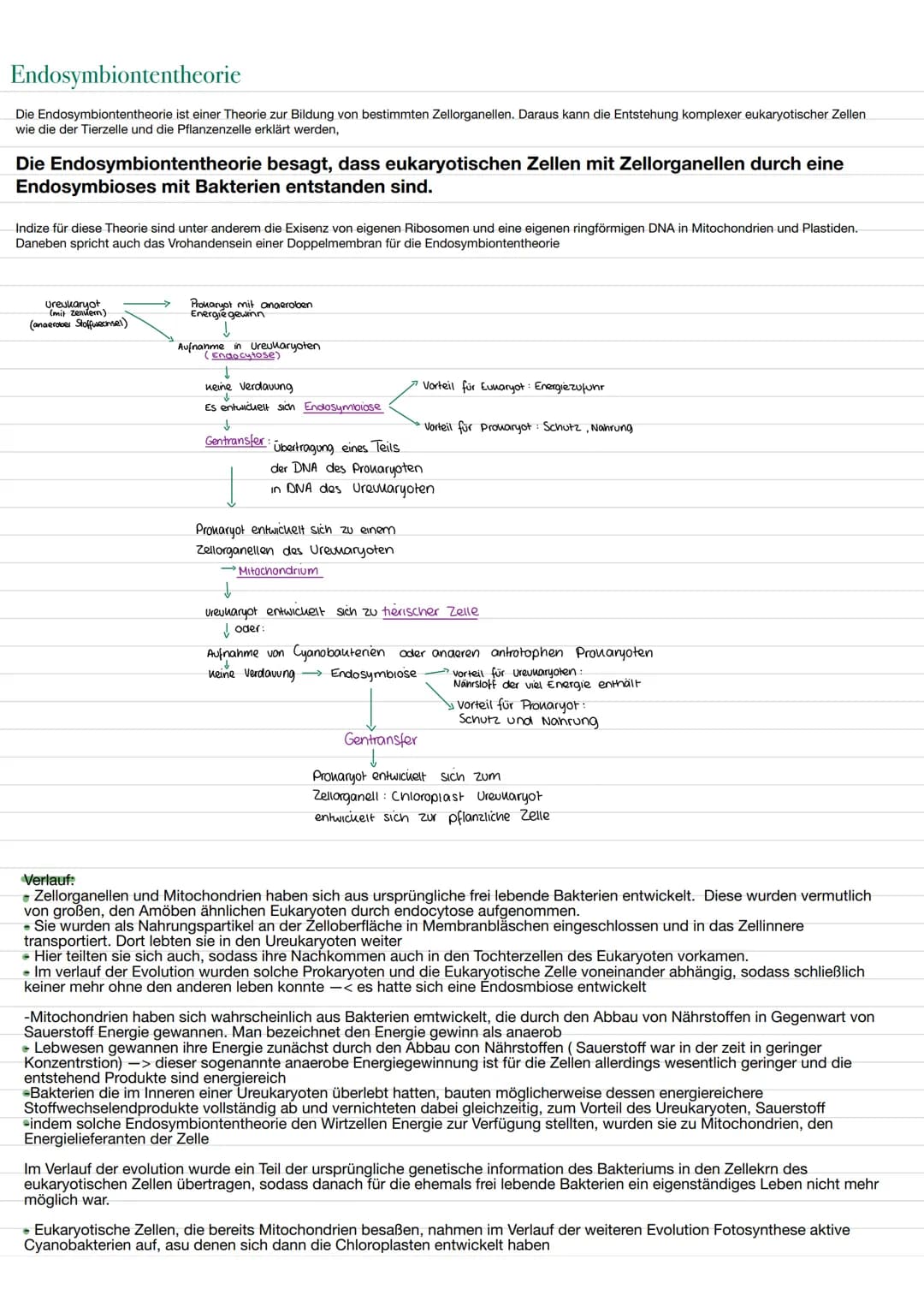 BIO LERNZETTEL
Themen:
-biologischer Organisation O
-Zellen (tierische und Pflanzliche)✓
-> Aufbau ✔
✓
-> Funktionen von Organellen.
-Isolie