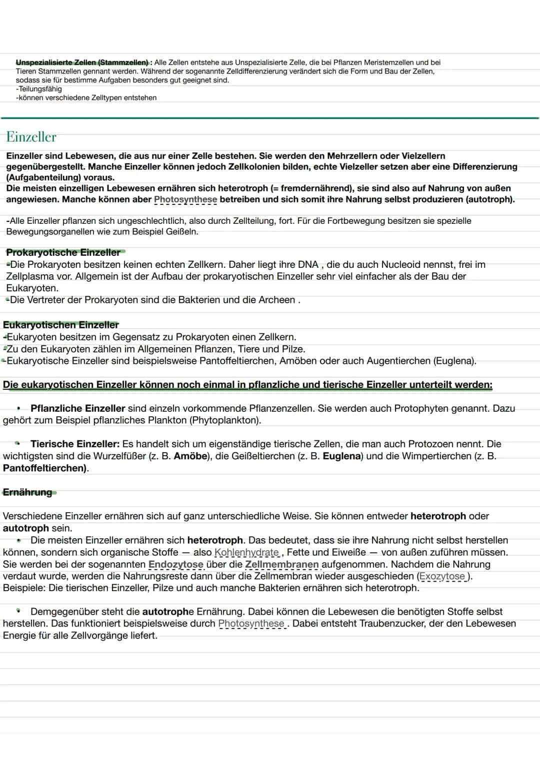 BIO LERNZETTEL
Themen:
-biologischer Organisation O
-Zellen (tierische und Pflanzliche)✓
-> Aufbau ✔
✓
-> Funktionen von Organellen.
-Isolie