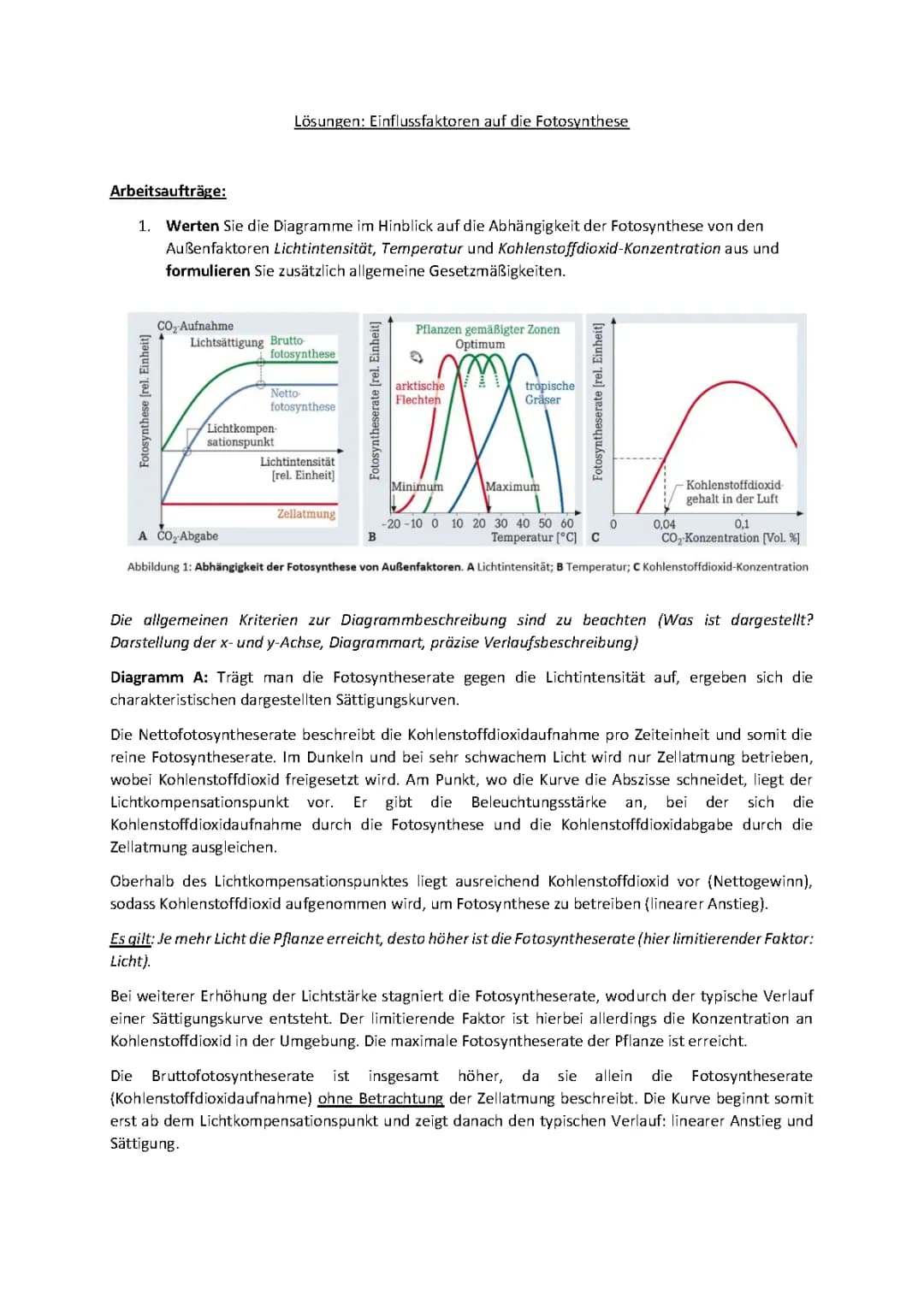 Einflussfaktoren (Licht, Temperatur, Kohlenstoffdioxid) auf die Fotosynthese 