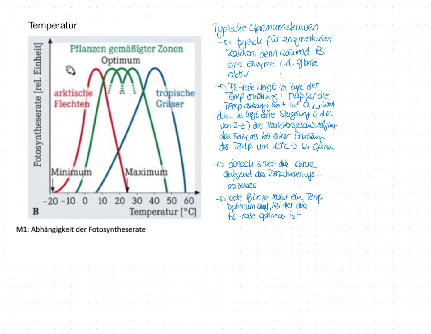 Arbeitsaufträge:
1. Werten Sie die Diagramme im Hinblick auf die Abhängigkeit der Fotosynthese von den
Außenfaktoren Lichtintensität, Temper