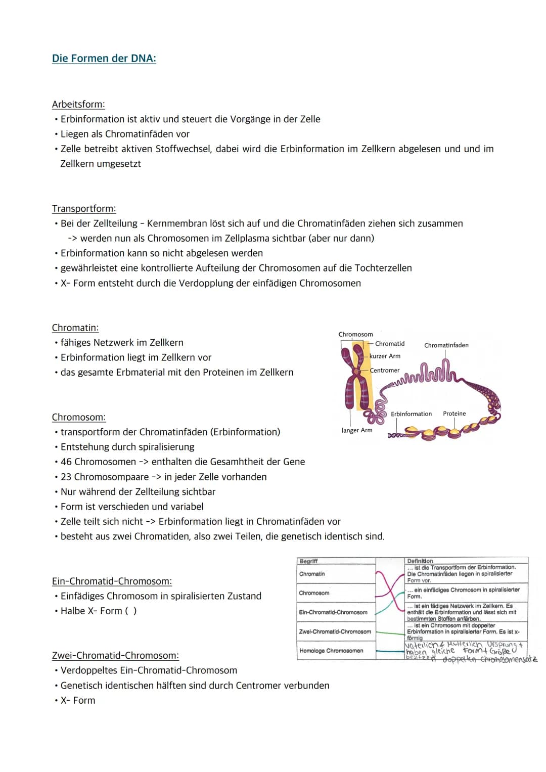 
<p>Der Zellkern enthält die Erbinformation und somit Informationen für den gesamten Organismus. Wenn der Zellkern entfernt oder zerstört wi
