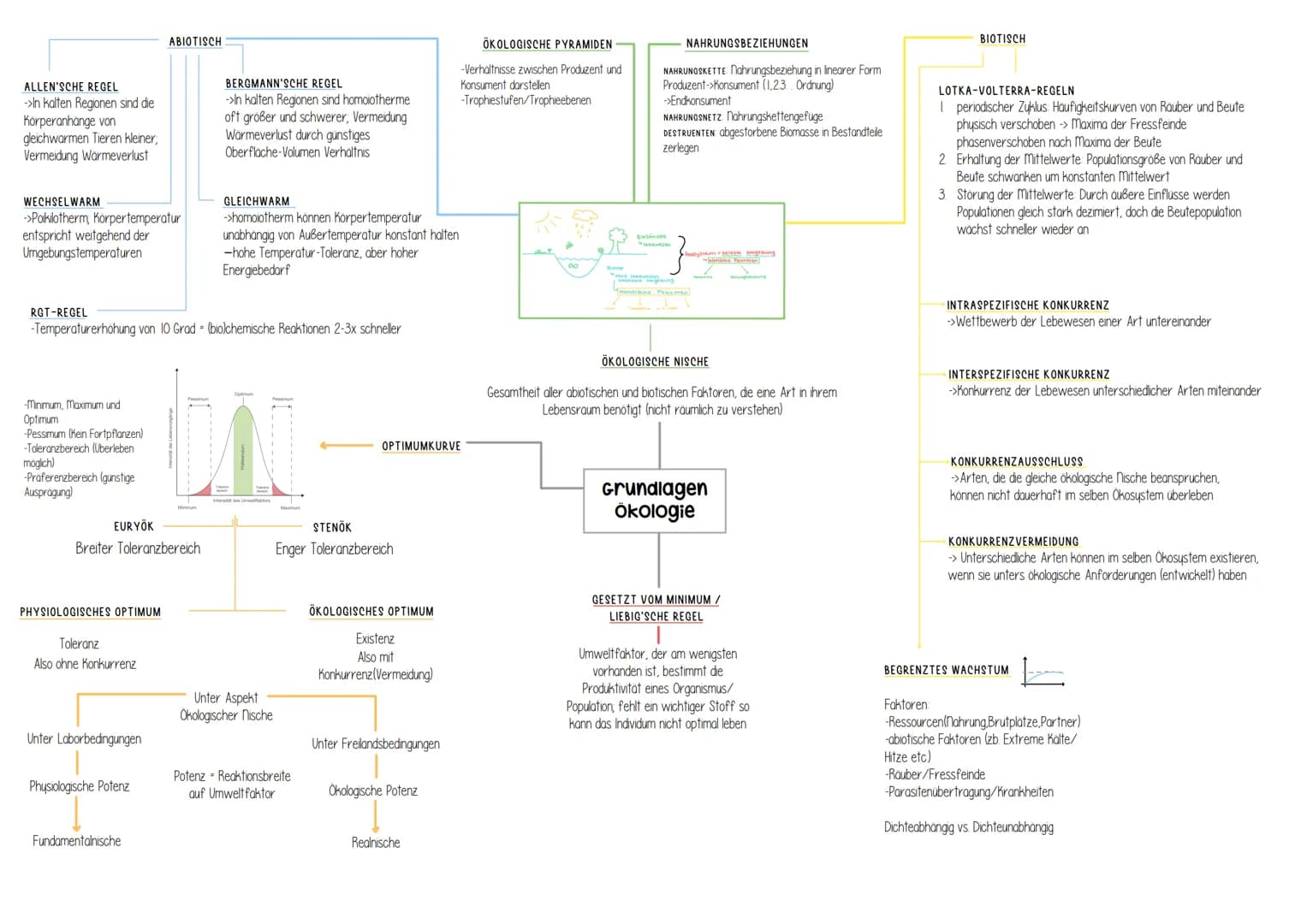Genetik Helicase
(Entspiralisierung
Lösen der Basen)
Einzelsträngige Proteine
verhindern
Wiederverbindung
DNA-Polymerase
synthetisiert ab Pr