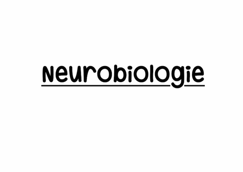 Genetik Helicase
(Entspiralisierung
Lösen der Basen)
Einzelsträngige Proteine
verhindern
Wiederverbindung
DNA-Polymerase
synthetisiert ab Pr