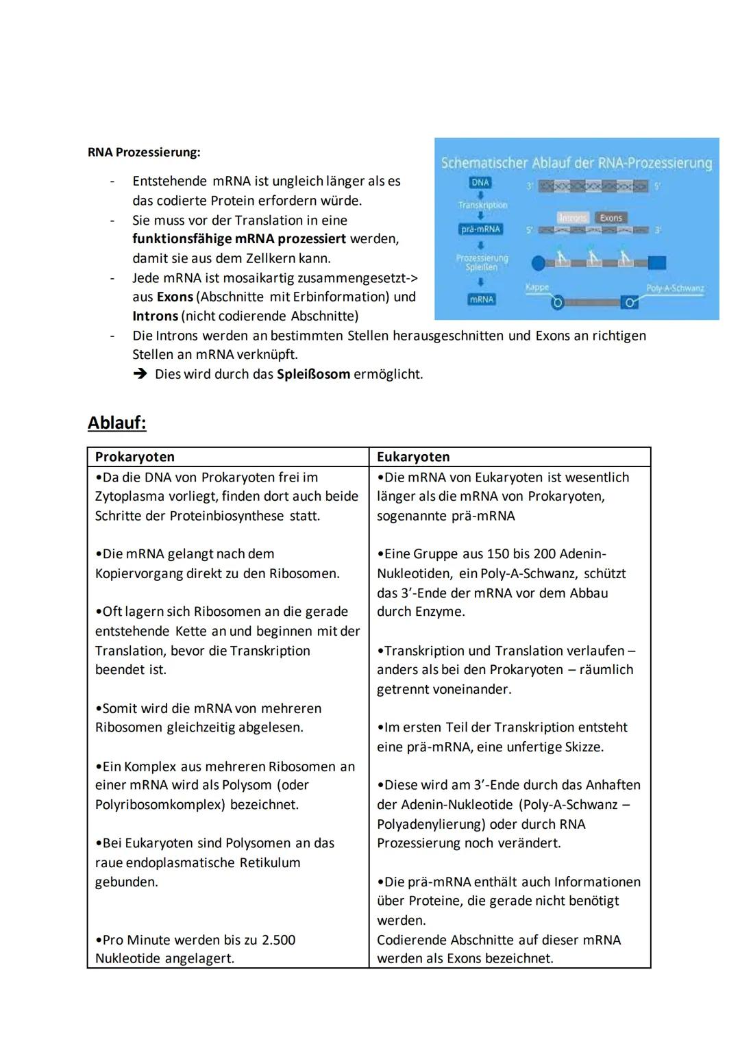 Vergleich
Genaufbau
Proteinbiosynthese bei Prokaryoten und Eukaryoten
Aufbau der DNA
Räumliche Organisation
Zeitliche Organisation
Reifung d